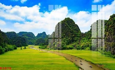 File in lụa File gốc in tranh tổng hợp K3878 (hoa văn) File gốc in tranh tổng hợp K3878