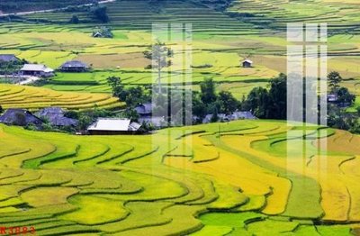 File tranh gốc in trần nhà File gốc in tranh tổng hợp K3883 3D