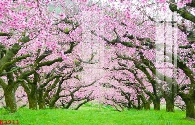 File in trần File gốc in tranh tổng hợp K3911 (bản gốc 3D) sống động