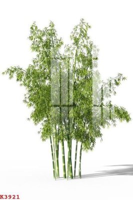 File gốc File gốc in tranh tổng hợp K3921 (in lụa) hoa văn cổ điển