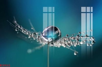 File gốc File gốc in tranh tổng hợp K3922 (in lụa) tranh mã đáo