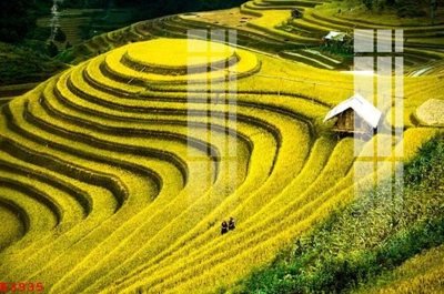 File gốc File gốc in tranh tổng hợp K3935 (PNG) chất lượng cao