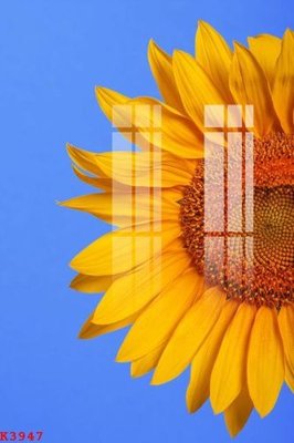 Tải file File gốc in tranh tổng hợp K3947 (gốc) làm file in ấn