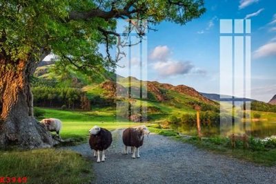 File gốc File gốc in tranh tổng hợp K3949 (in lụa) hoa văn cổ điển