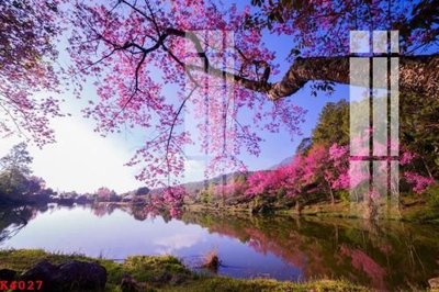 Download file File gốc in tranh tổng hợp K4027 (chuẩn in) File gốc in tranh tổng hợp K4027