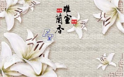 File tranh File gốc in tranh tổng hợp tường nền K40295 (bản gốc) in canvas