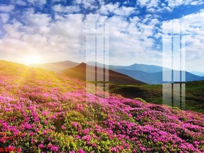 File gốc File gốc in tranh tổng hợp K4033 (in ấn) màu sắc trung thực