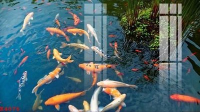 File gốc File gốc in tranh tổng hợp K4076 (in tráng gương) ốp tường