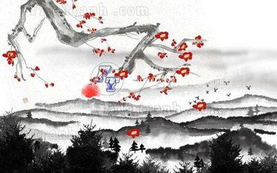 File tranh File gốc in tranh tổng hợp tường nền K40856 (gốc) chủ đề tĩnh vật