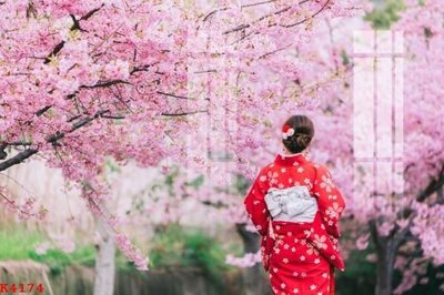 File PSD File gốc in tranh tổng hợp K4174 (bản gốc) dễ dàng edit