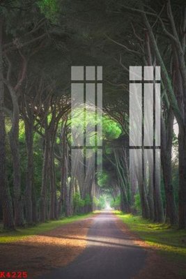 File in trần File gốc in tranh tổng hợp K4225 (bản gốc) đại dương