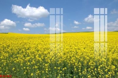 File gốc File gốc in tranh tổng hợp K4242 (chủ đề hiện đại) trang trí