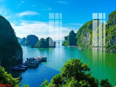 File in ấn File gốc in tranh tổng hợp K4246 chuyên nghiệp