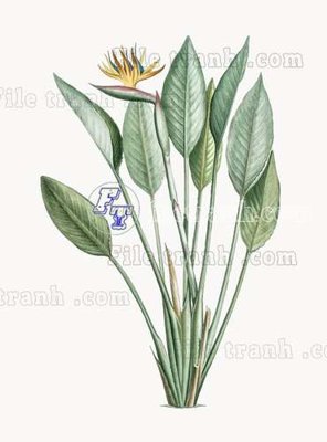 File gốc File gốc in tranh tổng hợp tường nền K43236 (trang trí) phòng ngủ