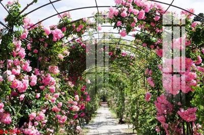 File gốc in ấn File gốc in tranh tổng hợp K4355 (sẵn sàng tải về)