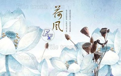 File gốc in ấn File gốc in tranh tổng hợp tường nền K44078 chất lượng vượt trội