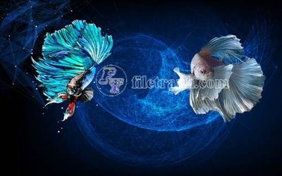 File gốc File gốc in tranh tổng hợp tường nền K44478 (phong cách) cổ điển