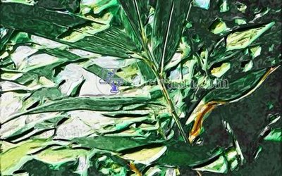 Tải về file gốc File gốc in tranh tổng hợp tường nền K44492 (dùng cho in quảng cáo)