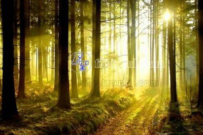 File gốc File gốc in tranh tổng hợp tường nền K44498 (bản quyền) cho in ấn