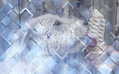 Tải file File gốc in tranh tổng hợp tường nền K44717 (gốc) để in ấn ngay