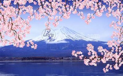 File in trần File gốc in tranh tổng hợp tường nền K45157 (bản gốc) đại dương