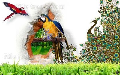 File in trần File gốc in tranh tổng hợp tường nền K45407 (file gốc) phong thủy