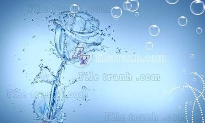 File in mica File gốc in tranh tổng hợp tường nền K45441 (ảnh gốc) đẹp