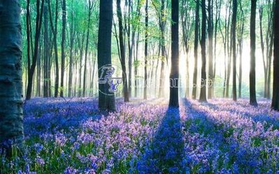 Tải file File gốc in tranh tổng hợp tường nền K45462 (PSD) cho in tranh 3D