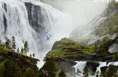 File tranh gốc File gốc in tranh tổng hợp tường nền K45469 (bản quyền) Filetranh.com