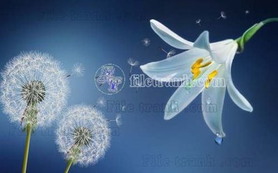 Tải file gốc File gốc in tranh tổng hợp tường nền K45653 (bản PSD) chỉnh sửa được