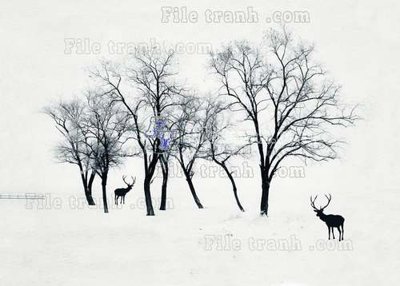 Download file File tranh gốc dán tường hươu nai sừng K47040 (gốc) in mica cao cấp