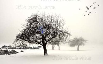 Ảnh gốc file in lụa File tranh gốc dán tường hươu nai sừng K47044 chi tiết