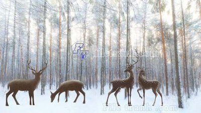 Mua file gốc File tranh gốc dán tường hươu nai sừng K47175 (PSD) tại Filetranh.com