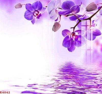 Tải xuống file tranh gốc File gốc in tranh tổng hợp K4842 (PSD/TIFF)