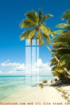 File in mica File gốc in tranh tổng hợp K49004 (bản gốc) sắc sảo