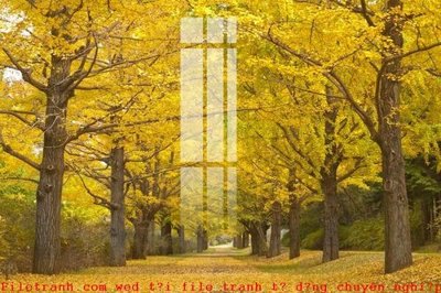 File PSD File gốc in tranh tổng hợp K49012 (gốc) nhiều lớp (multi-layer)