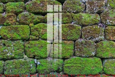 File in ấn File gốc in tranh tổng hợp K49014 (bản gốc) cao cấp