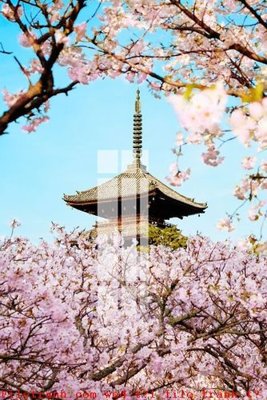 File tranh trang trí File gốc in tranh tổng hợp K49020 (file gốc)