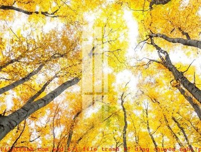 File gốc File gốc in tranh tổng hợp K49056 (in lụa) hoa văn cổ điển