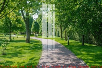 File gốc File gốc in tranh tổng hợp K49063 (in tráng gương) nghệ thuật