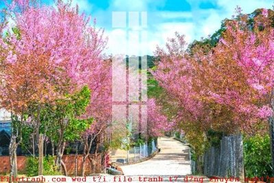 Tải file File gốc in tranh tổng hợp K49072 (gốc) in nhanh