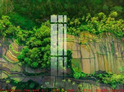 File in mica File gốc in tranh tổng hợp K49076 (bản gốc) làm vách ngăn