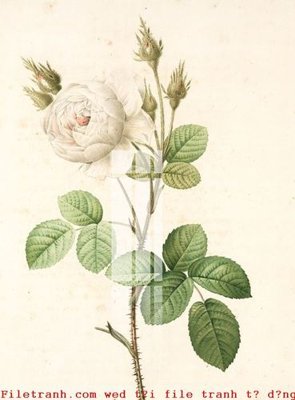 File gốc in ấn File gốc in tranh tổng hợp K49103 chuẩn màu CMYK