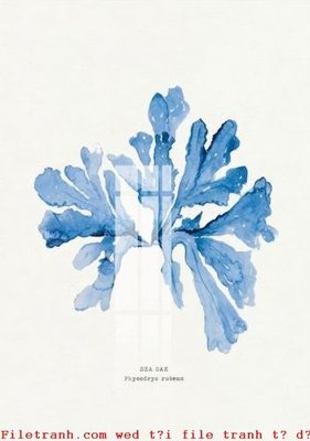 File PSD File gốc in tranh tổng hợp K49153 (nguyên gốc) chất lượng cao