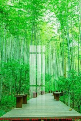 Tải file File gốc in tranh tổng hợp K49189 (gốc) chủ đề phong thủy