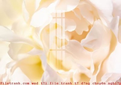 File gốc File gốc in tranh tổng hợp K49207 (ảnh chi tiết) để in lụa