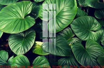 File gốc File gốc in tranh tổng hợp K49437 (trang trí) cho phòng khách