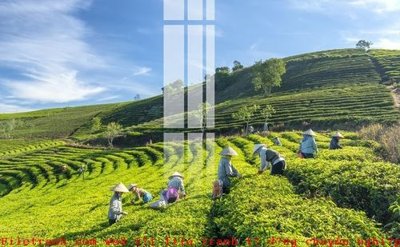 Tải file gốc File gốc in tranh tổng hợp K49446 (bản PSD) gốc