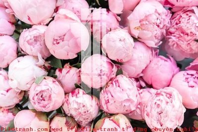 File ảnh File gốc in tranh tổng hợp K49452 (gốc) in Hiflex