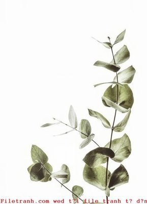 Tải file File gốc in tranh tổng hợp K49524 (gốc) in trên mọi chất liệu